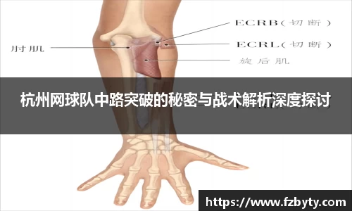 韦德体育国际