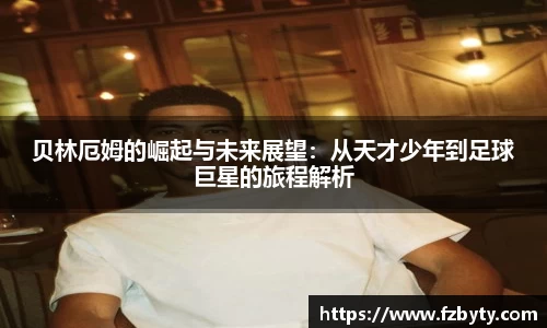 韦德体育国际